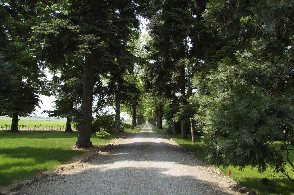 Tenuta La Fiscala Alessandria Exterior foto